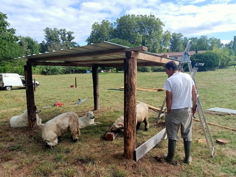 Construction Abri Ferme