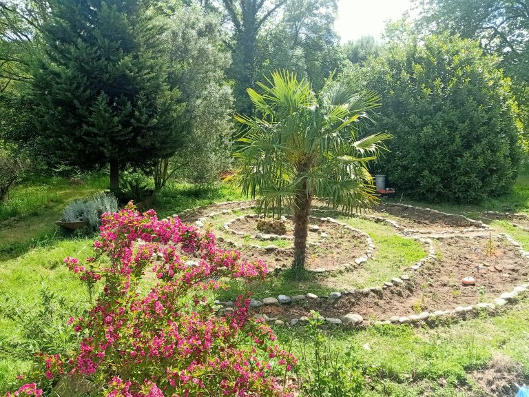 IMG20200507121222
