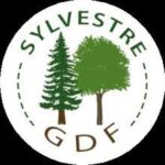 sylvestre